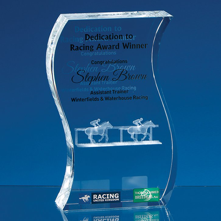 17.5cm Optical Crystal Freestanding Wave Award