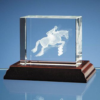 3D Showjumper in Optical Crystal Block