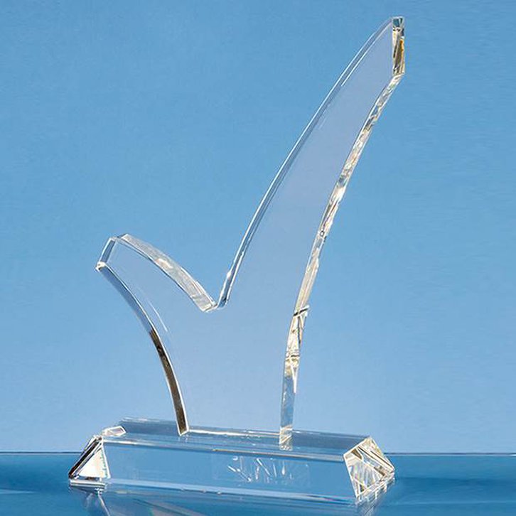 22.5cm Optical Crystal Tick Award